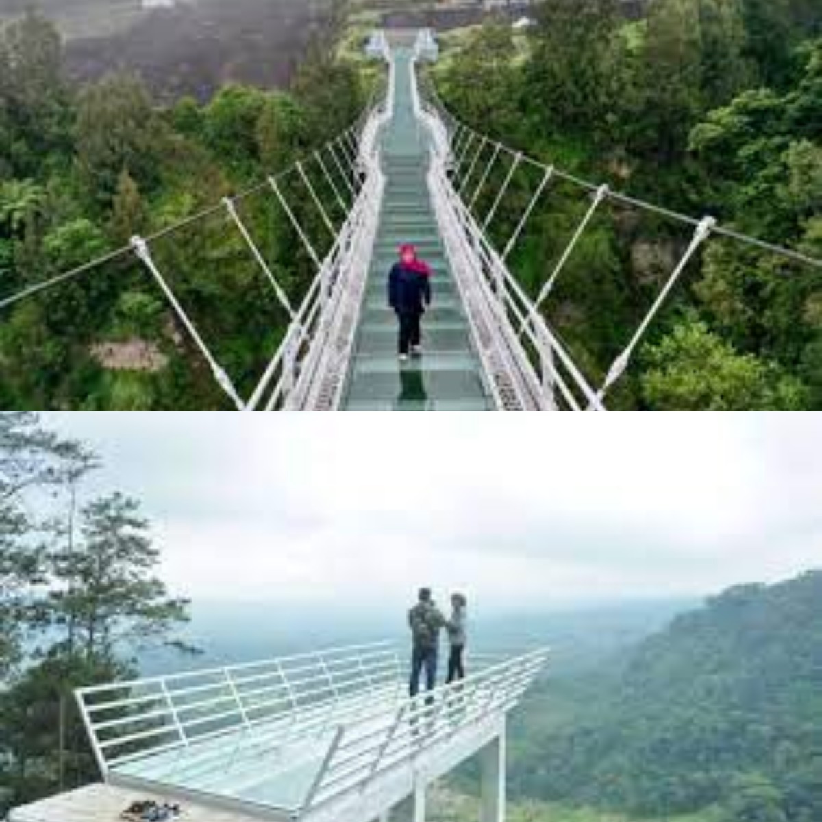 Menikmati Panorama Alam yang Indah di 8 Destinasi Wisata Jembatan Kaca di Indonesia 