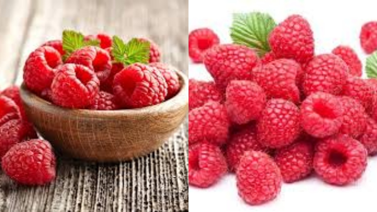 Jarang Diketahui Inilah Manfaat Raspberry Untuk Kesehatan Tubuh!