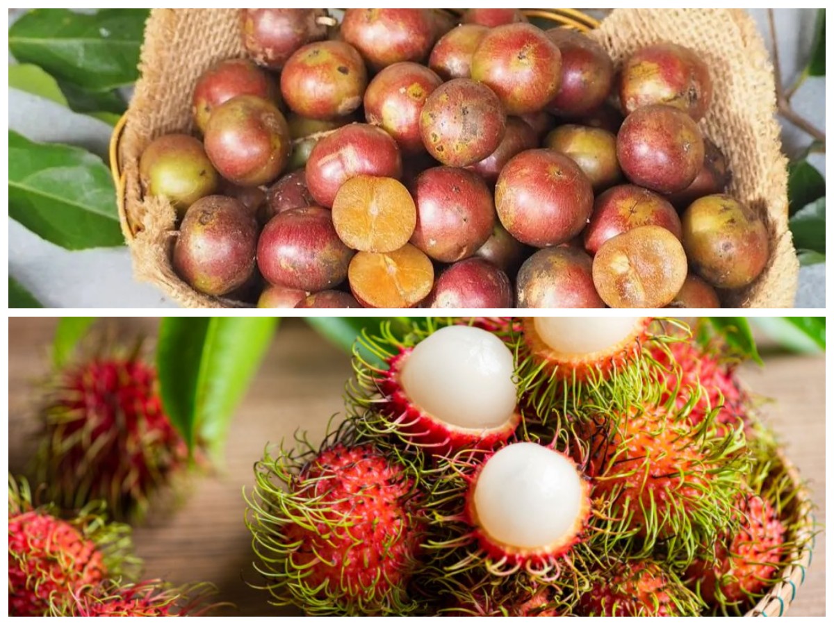 10 Buah Langka dari Indonesia yang Patut Dicicipi untuk Pengalaman Kuliner Unik