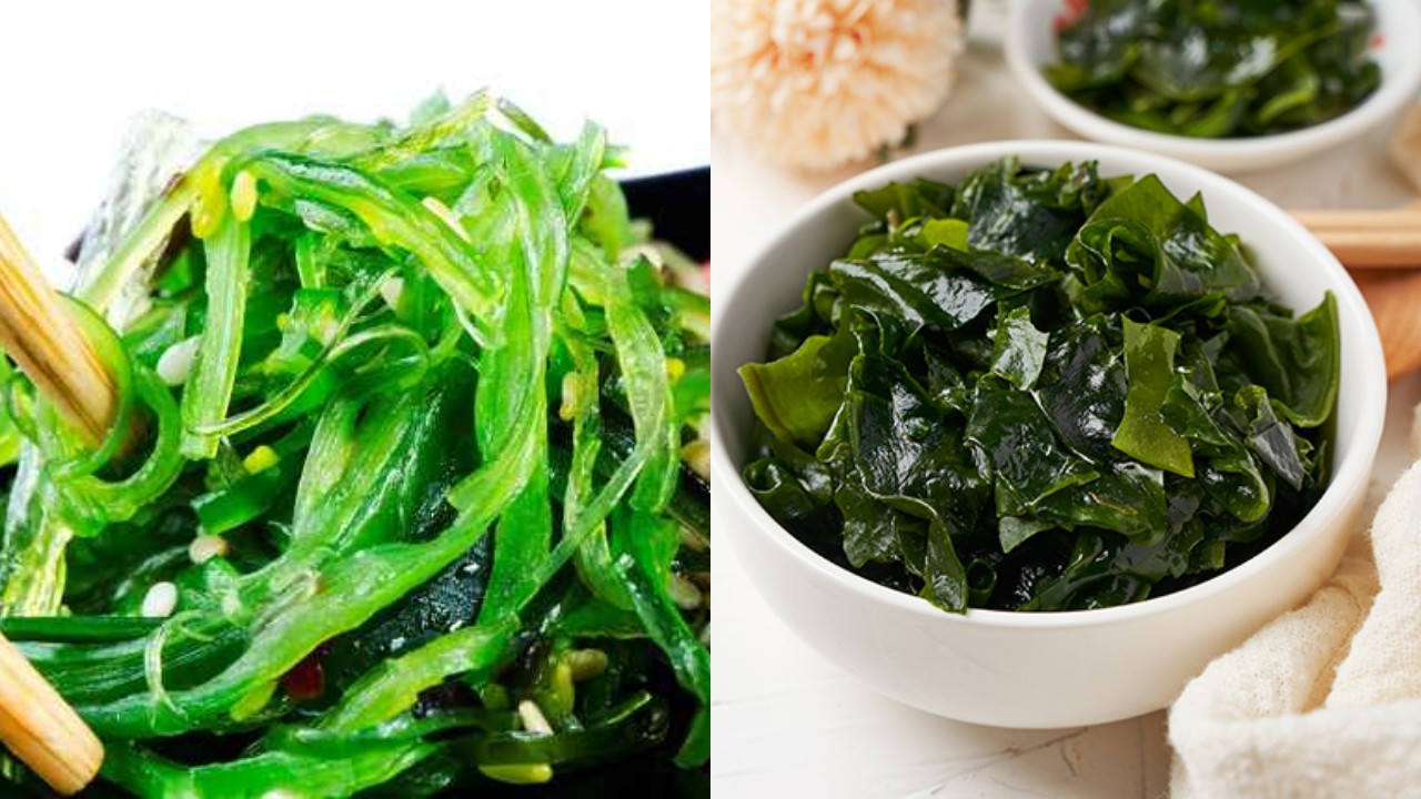 Kaya Gizi! Inilah Manfaat Rumput Laut dan Nutrisi Penting di Dalamnya