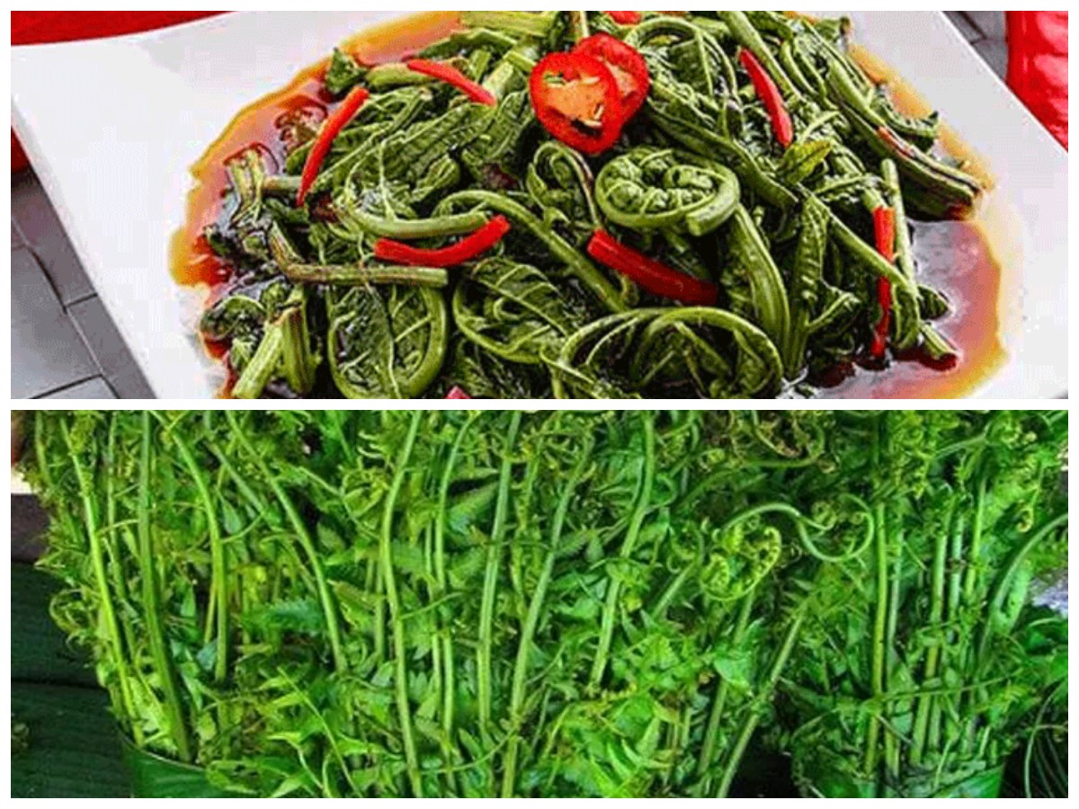 Tak Hanya Lezat, Ini Ragam Manfaat Daun Pakis bagi Kesehatan Tubuh