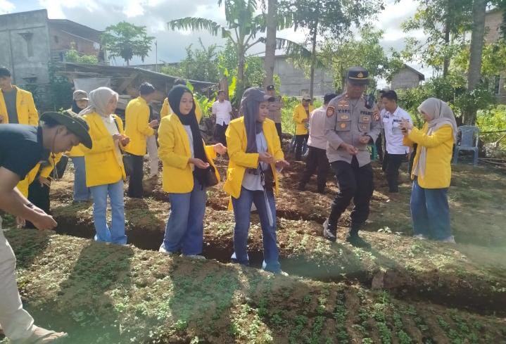 Polsek Dempo Utara Bersama Mahasiswa KKN Unsri Tanam Jagung Serentak