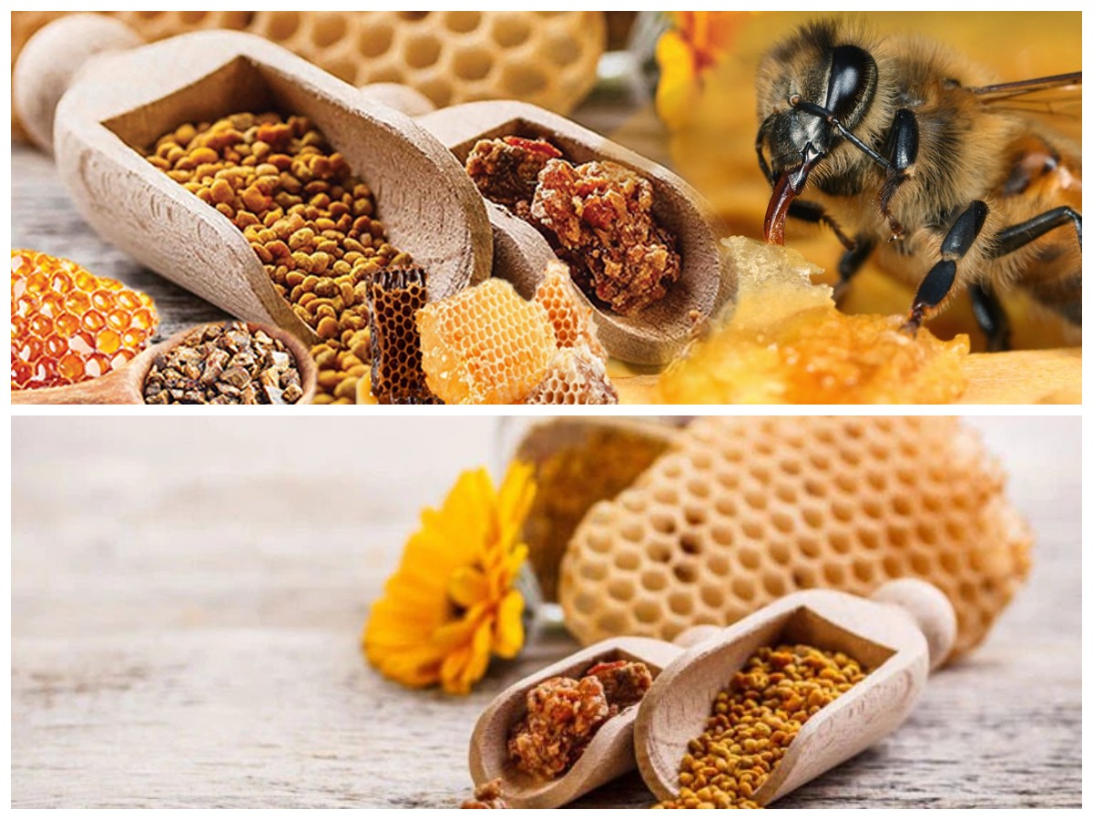 Manfaat Propolis bagi Kesehatan Tubuh: Rahasia Alami dari Lebah!