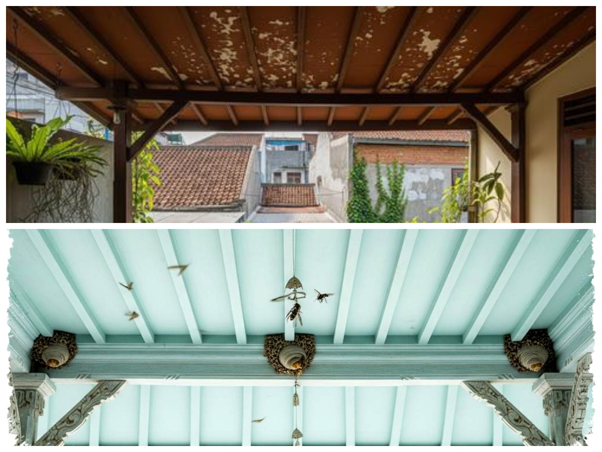 5 Warna Plafon Teras yang Dipercaya Bisa Mengurangi Sarang Tawon, Rumah Lebih Nyaman dan Aman
