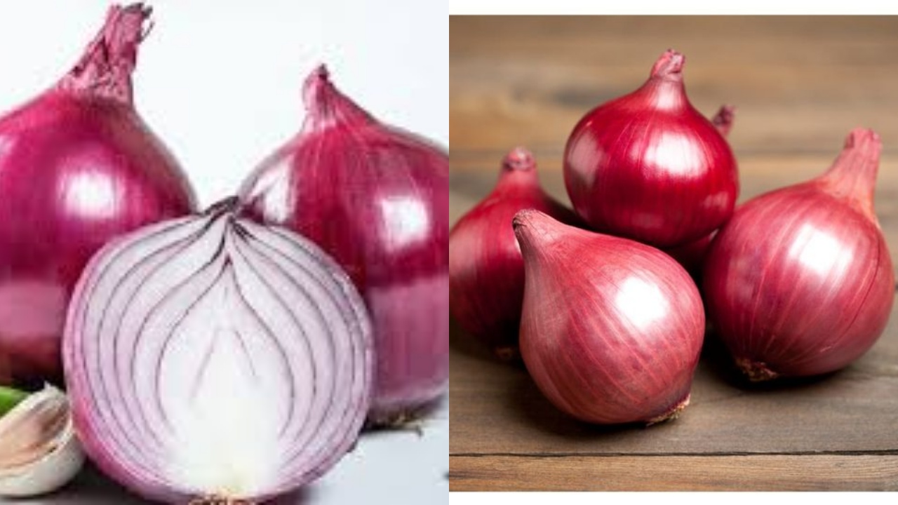 Inilah 8 Manfaat Bawang Merah untuk Kesehatan Tubuh Harus Tahu!