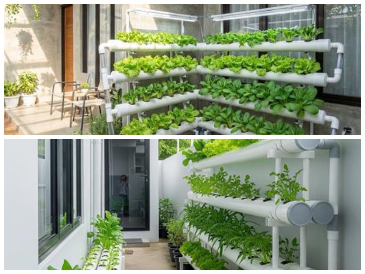 Lahan Mini Bukan Masalah! 5 Desain Kebun Rak Bertingkat 2026 yang Bikin Teras 2x3 Meter Lebih Hijau