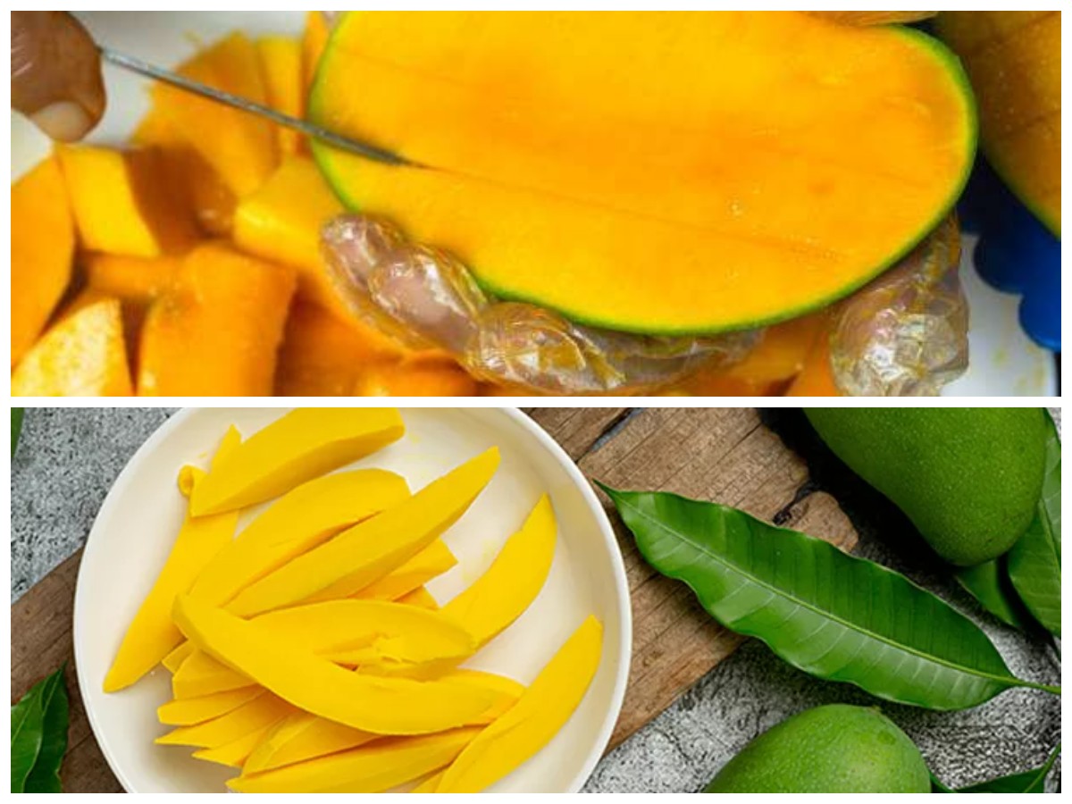 Kandungan Gizi Mangga Kweni dan Rahasia Kesehatannya yang Jarang Diketahui