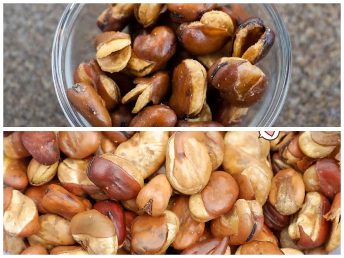 Manfaat Kacang Koro untuk Kesehatan: Sumber Nutrisi Tersembunyi yang Jarang Diketahui