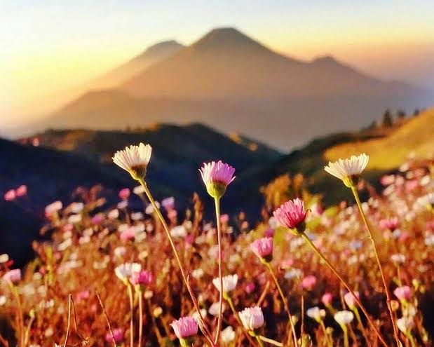 Tak Beredelweis. Gunung Prahu Tetap Spektakuler di Mata Para Pendaki. Simak Fakta Lainnya