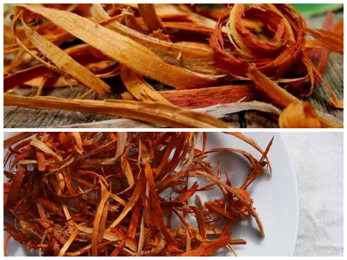 Manfaat Kayu Secang untuk Kesehatan: Rahasia Herbal dari Alam