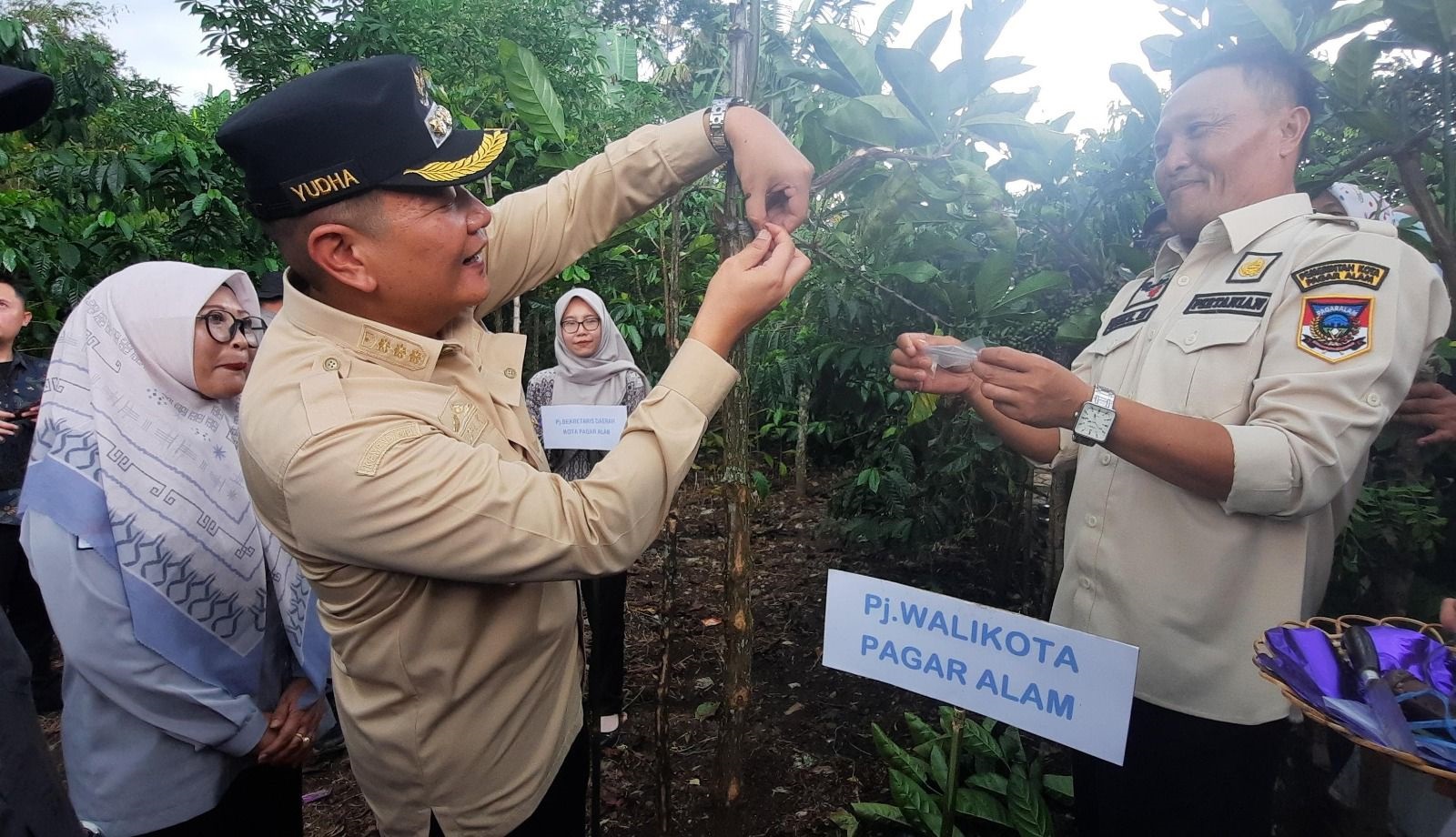  Meningkatkan Kesejahteraan Petani Kopi di Kota Pagaralam dengan Program Sambung Pucuk