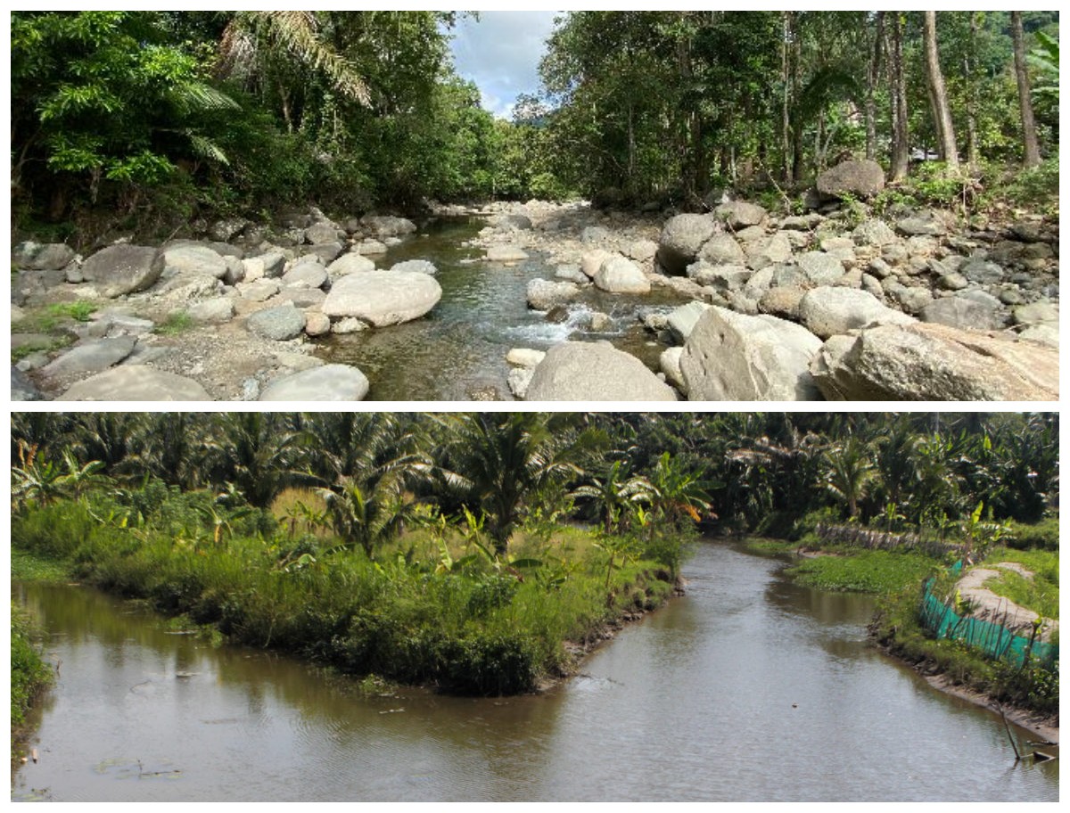 Menelusuri Sejarah Sungai Sadang: Nadi Kehidupan di Tanah Sulawesi!
