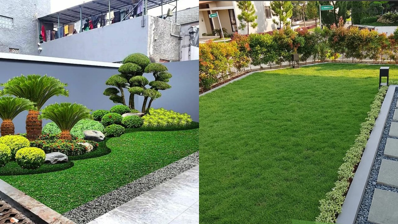 Rumput Taman Paling Populer untuk Halaman Rumah yang Indah dan Sejuk!