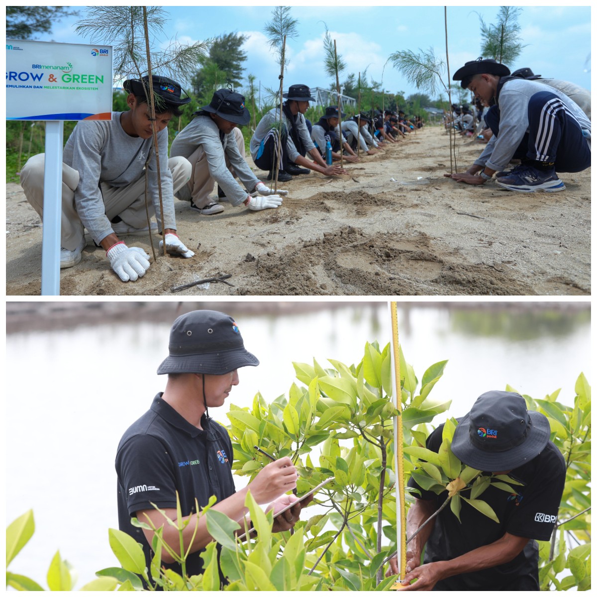 BRI Menanam – Grow & Green: Wujud Nyata Komitmen BRI di Hari Lingkungan Hidup Sedunia
