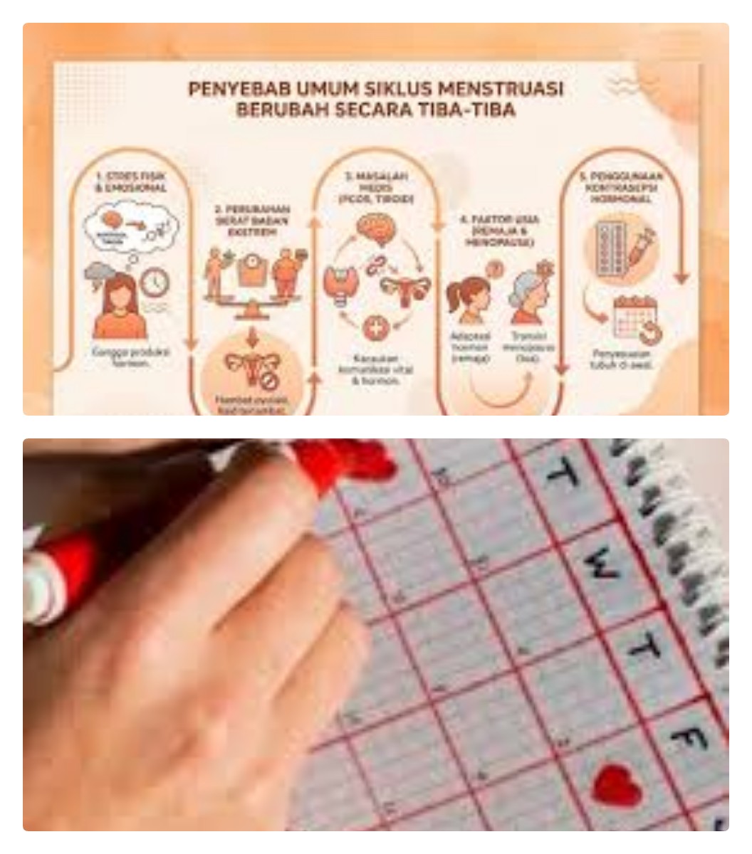 6 Faktor yang Menyebabkan Menstruasi Tidak Teratur dan Solusinya