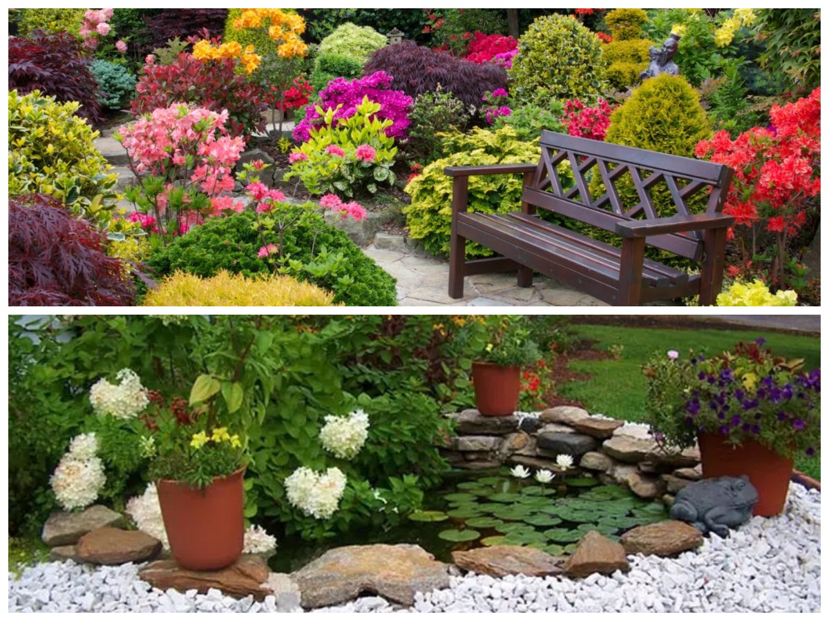 Taman Bunga Penuh Warna, Ide Desain Cantik yang Bikin Rumah Makin Menawan Setiap Pagi