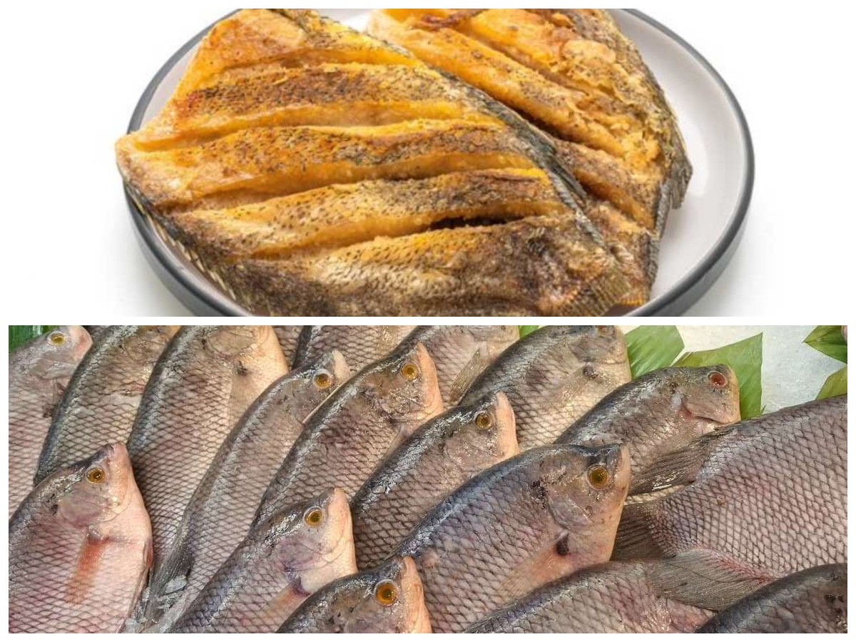 Manfaat Ikan Gurame yang Jarang Diketahui: Sumber Vitamin, Mineral, dan Protein Berkualitas