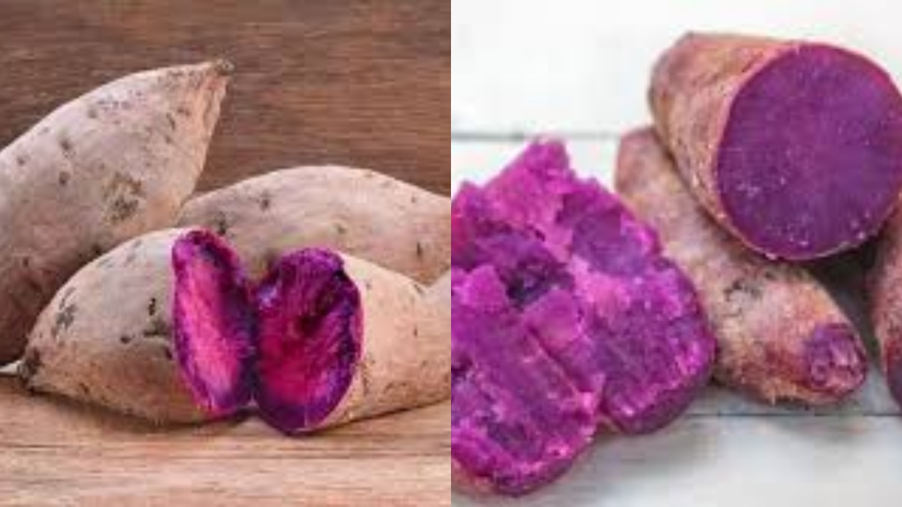 Inilah 8 Manfaat Ubi Ungu bagi Kesehatan dan Cara Mengolahnya!