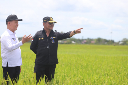Menteri Pertanian SYL Pastikan Food Estate Kalteng Berkembang