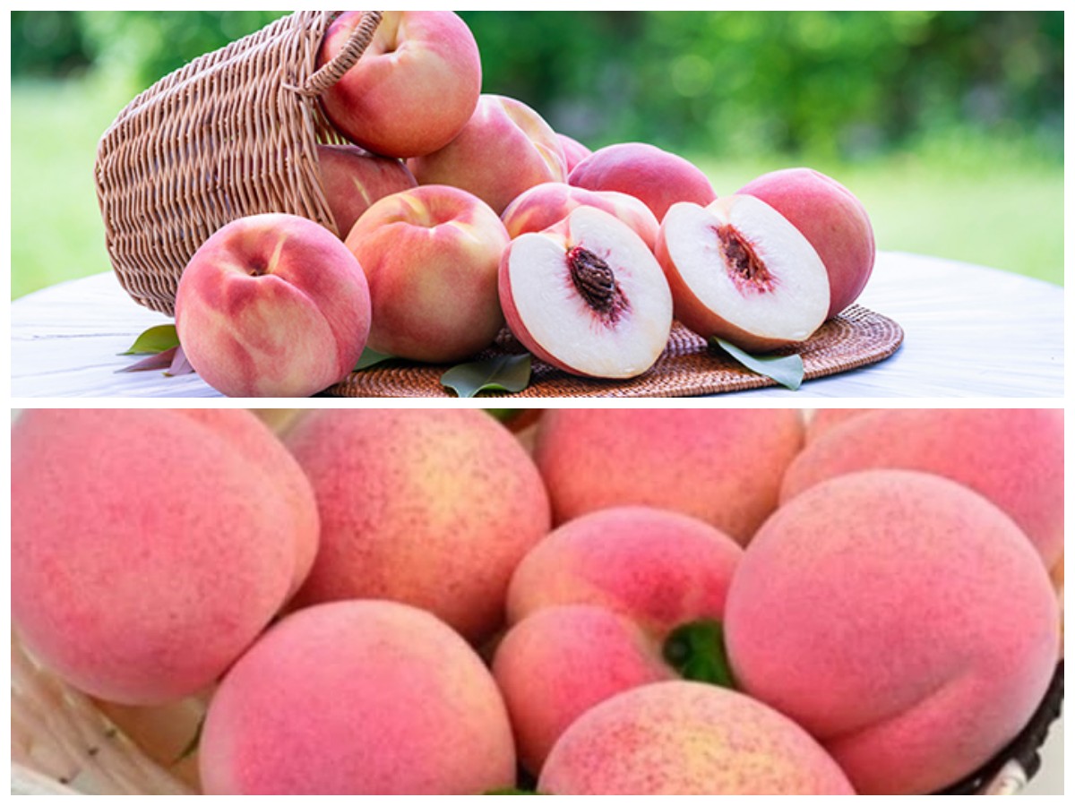 Manfaat Buah Persik untuk Tubuh dan Kulit: Nikmati Kesehatan Alami Setiap Hari
