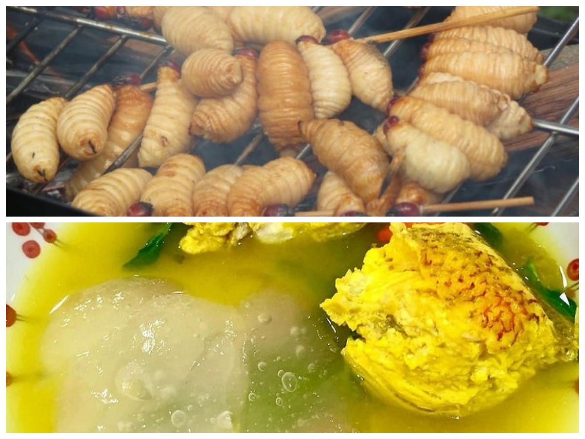 Kuliner Khas Suku Asmat: 7 Makanan Tradisional yang Wajib Dicicipi!