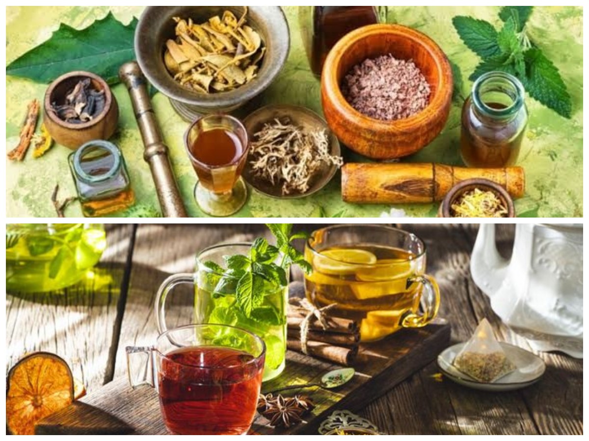 Obat Herbal Alami untuk Nyeri Lutut: Resep Daun yang Efektif