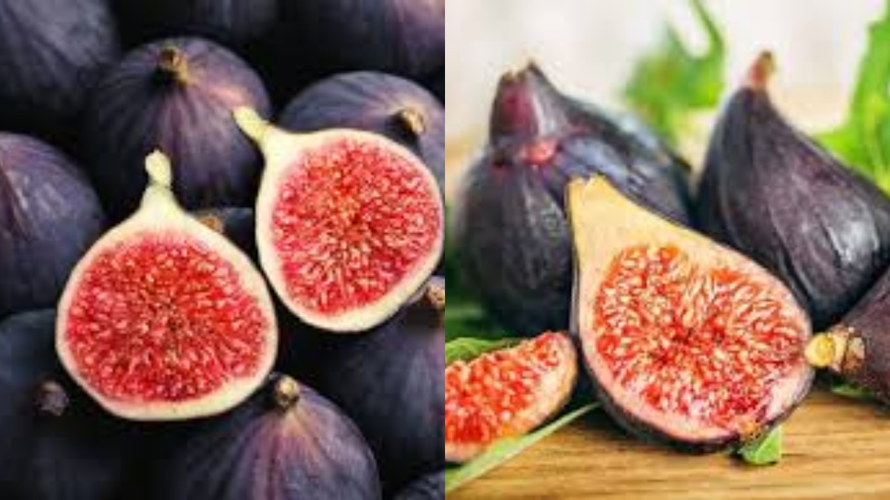  Inilah 7 Manfaat Buah Ara Yang Harus Kalian Ketahui!