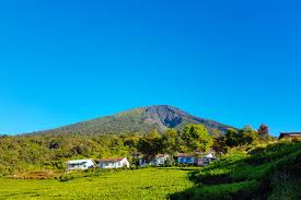 Melacak Jejak Sejarah Panjang Kota Pagar Alam, Destinasi Wisata yang Memikat dan Sumber Kopi yang Terkenal