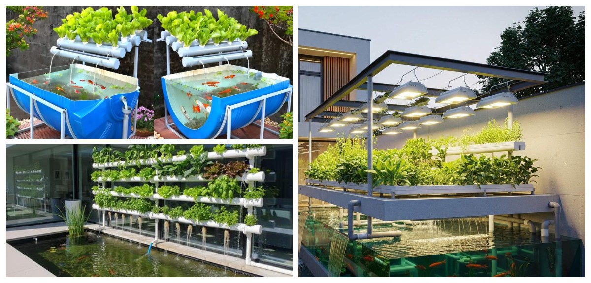 Urban Farming Modern: 5 Desain Rumah dengan Kebun Sayur di Atas Kolam Ikan