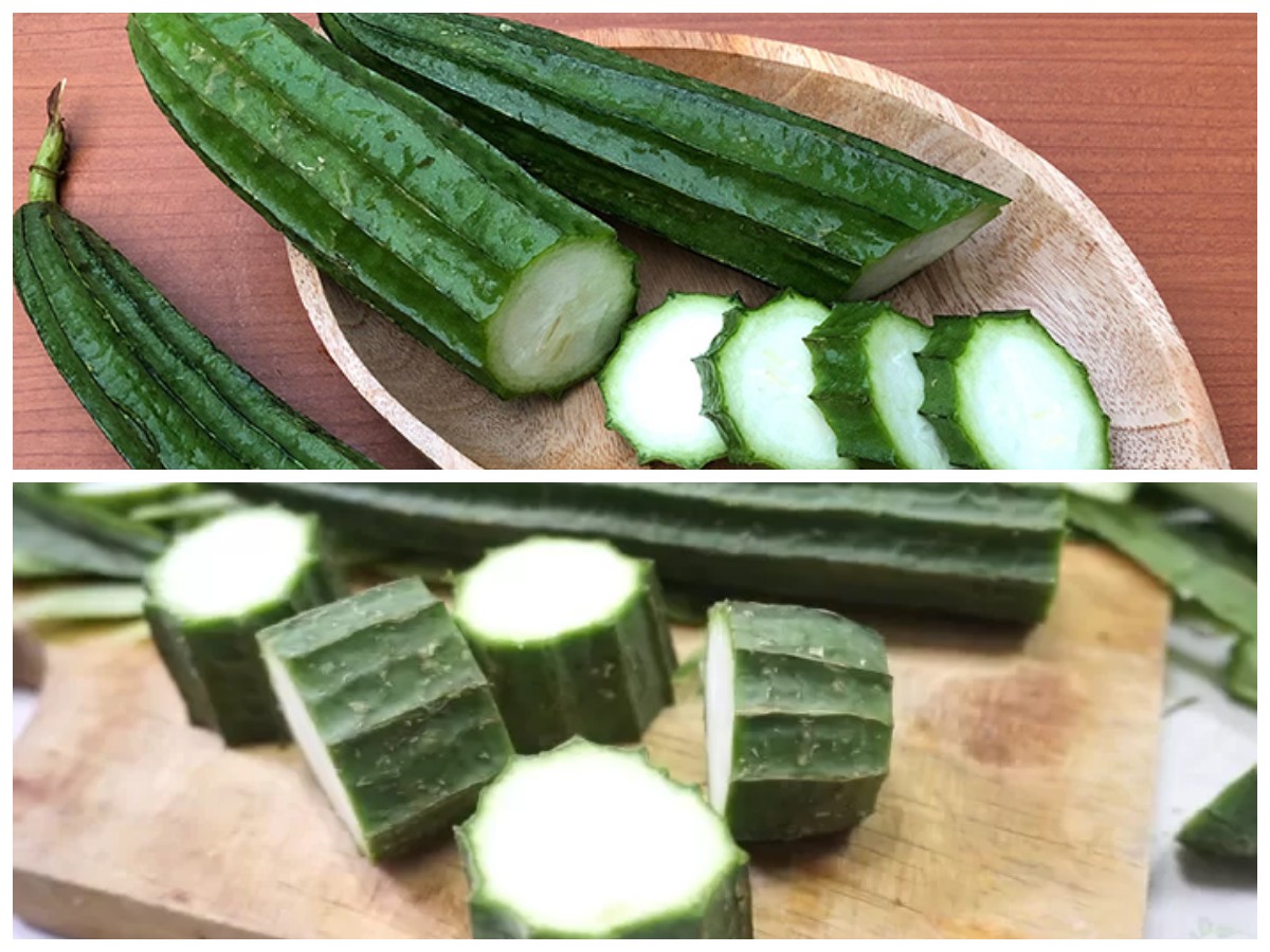 Manfaat Oyong bagi Kesehatan: Sayuran Sederhana dengan Segudang Khasiat!