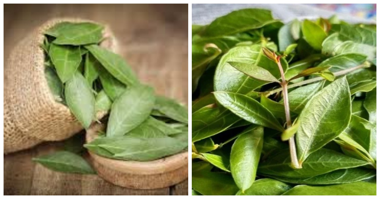 6 Manfaat Daun Pacar untuk Kesehatan, dari Meredakan Sakit Perut hingga Membantu Mengatasi Asam Lambung