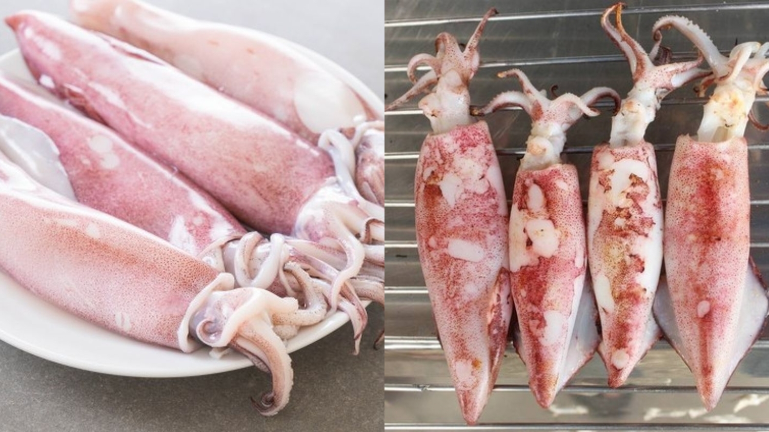 Simak! Manfaat Dan Efek Samping Cumi-cumi Untuk Kesehatan Kamu Perlu Tahu