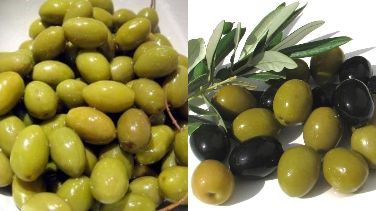 Catat! Ini 7 Manfaat Buah Zaitun Untuk Kesehatan Tubuh Yang Perlu Kamu Tahu