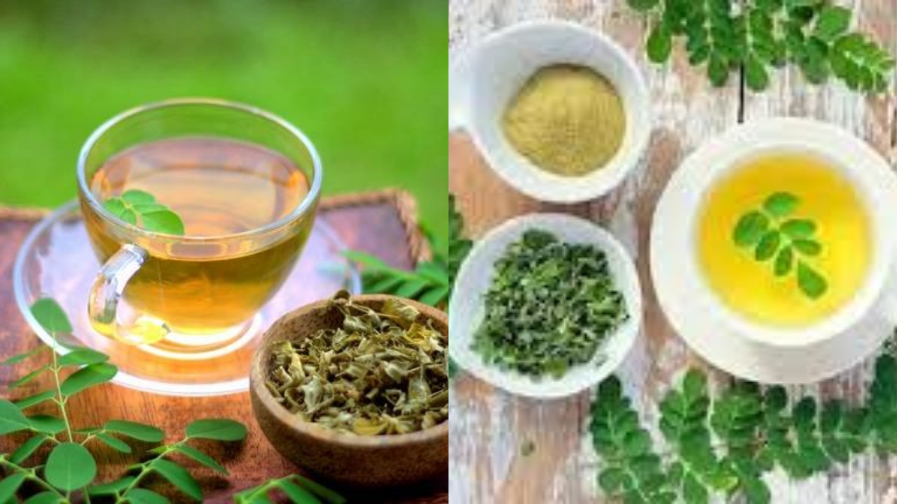  Inilah Manfaat Teh Daun Kelor Untuk Kesehatan Tubuh Agar Tidak Gampang Sakit!