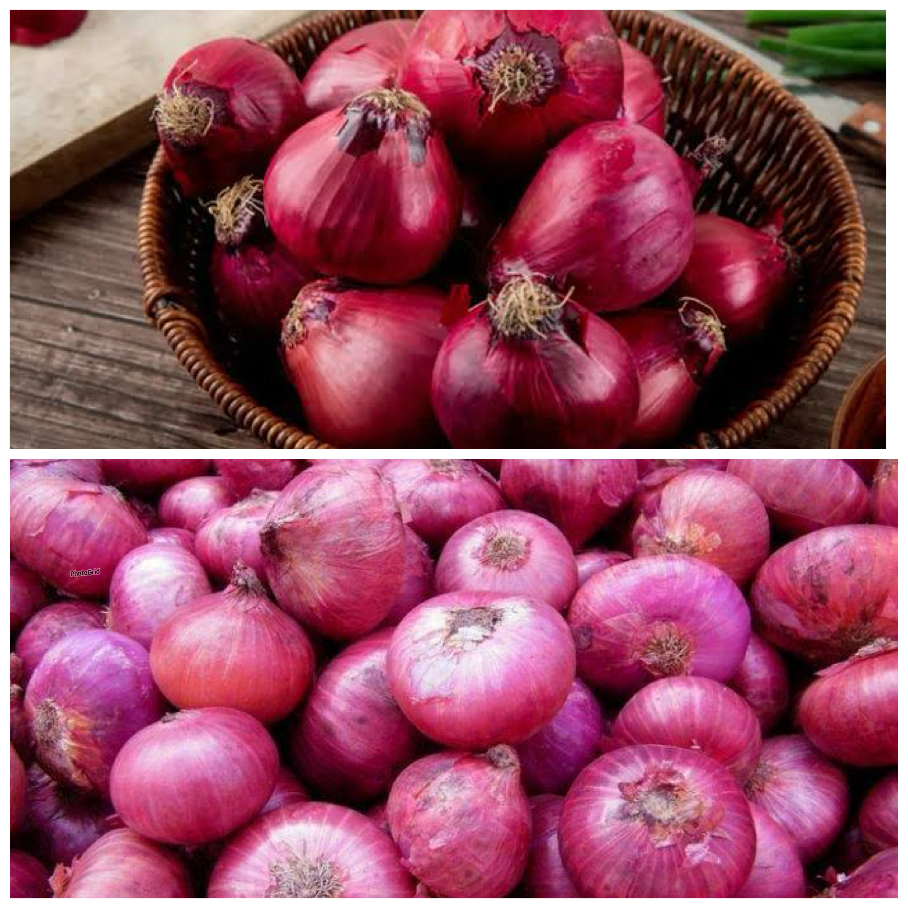 Menguak Manfaat Bawang Merah bagi Kesehatan Tubuh: Dari Imunitas hingga Pencegahan Penyakit Kronis!