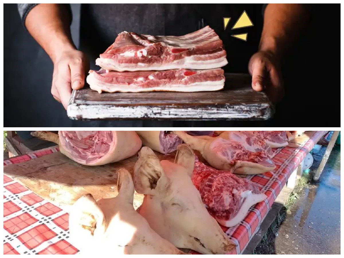 Panduan Halal: Kenali 9 Makanan yang Diharamkan Beserta Sebabnya Menurut Syariat