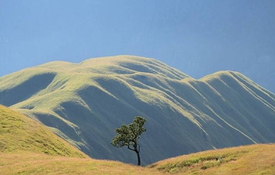 Misteri Gunung Nangi: Tempat Melihat dan Merenungi