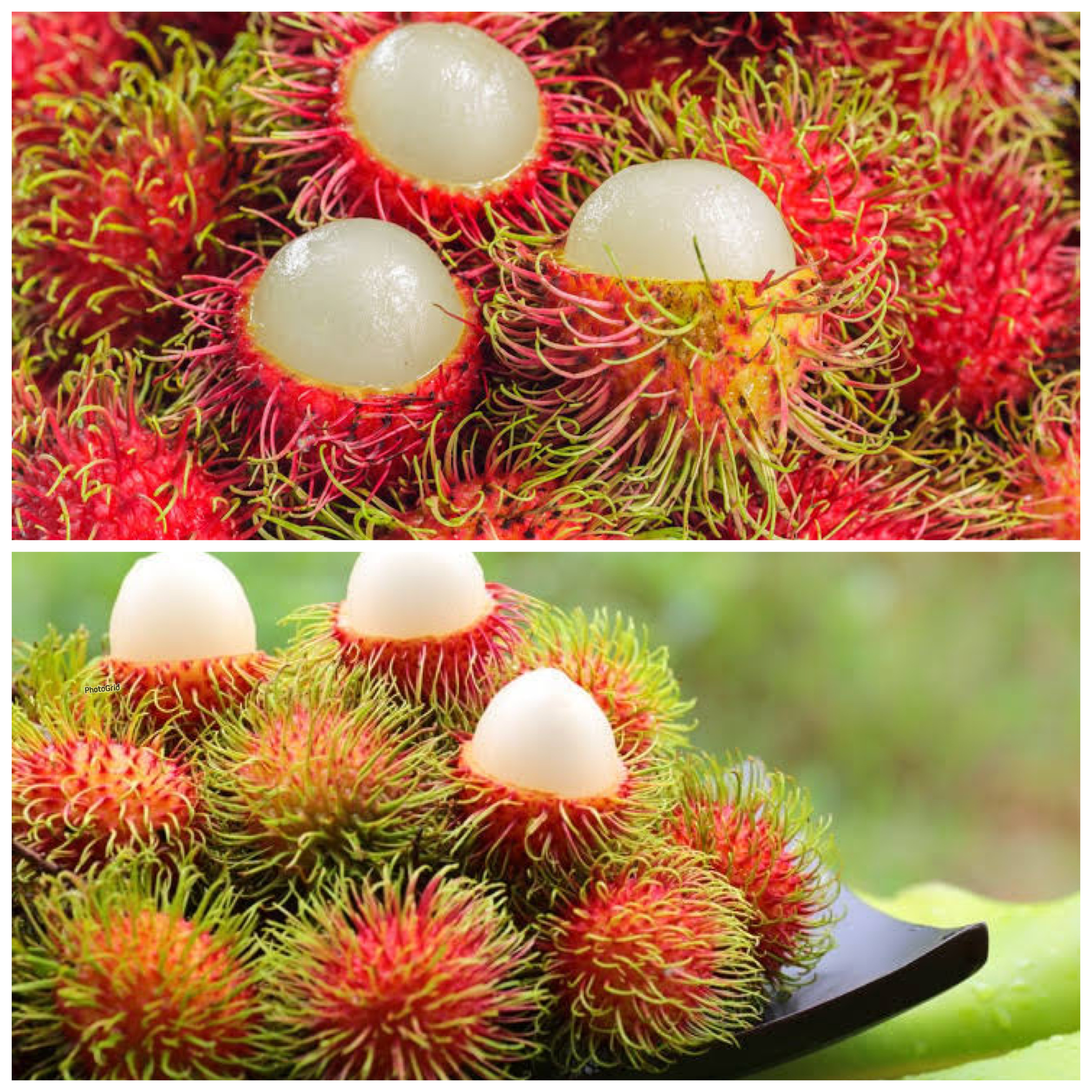 Manfaat Buah Rambutan bagi Kesehatan Tubuh: Sumber Vitamin C, Serat, dan Antioksidan Alami!