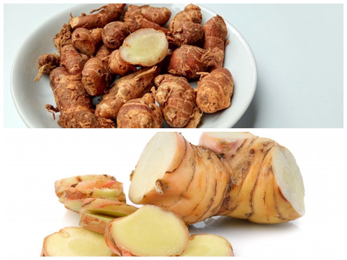 8 Manfaat Luar Biasa Kencur bagi Tubuh serta Tips Aman Konsumsi Harian