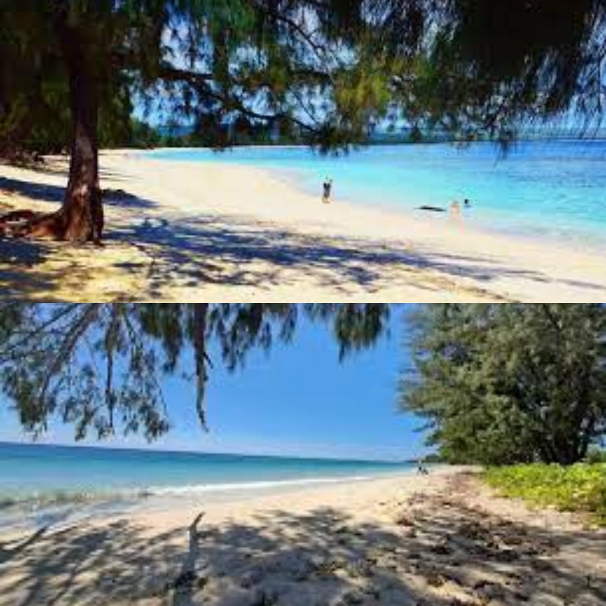 Tawarkan Suasana Menyegarkan, Menambah Minat Para Wisatawan untuk Berlibur ke Pantai Puru Kembara Sumba 