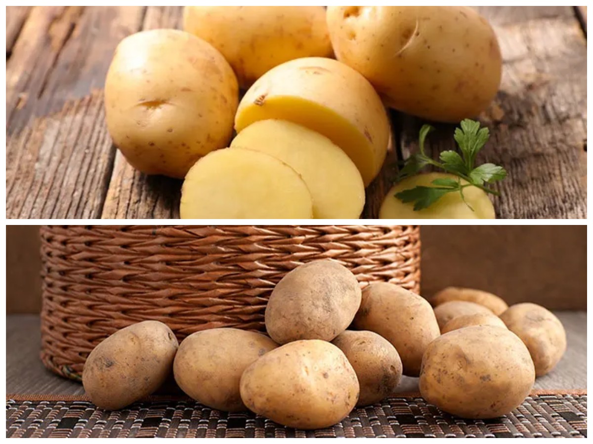 Rahasia Nutrisi Kentang: Manfaat Kesehatan yang Wajib Anda Tahu!