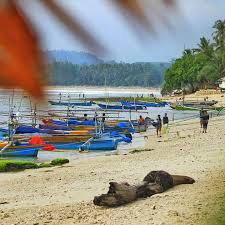  Pantai Pangubayan Bengkulu, Wisata Laut Wajib Masuk List Liburan Akhir Pekan! 