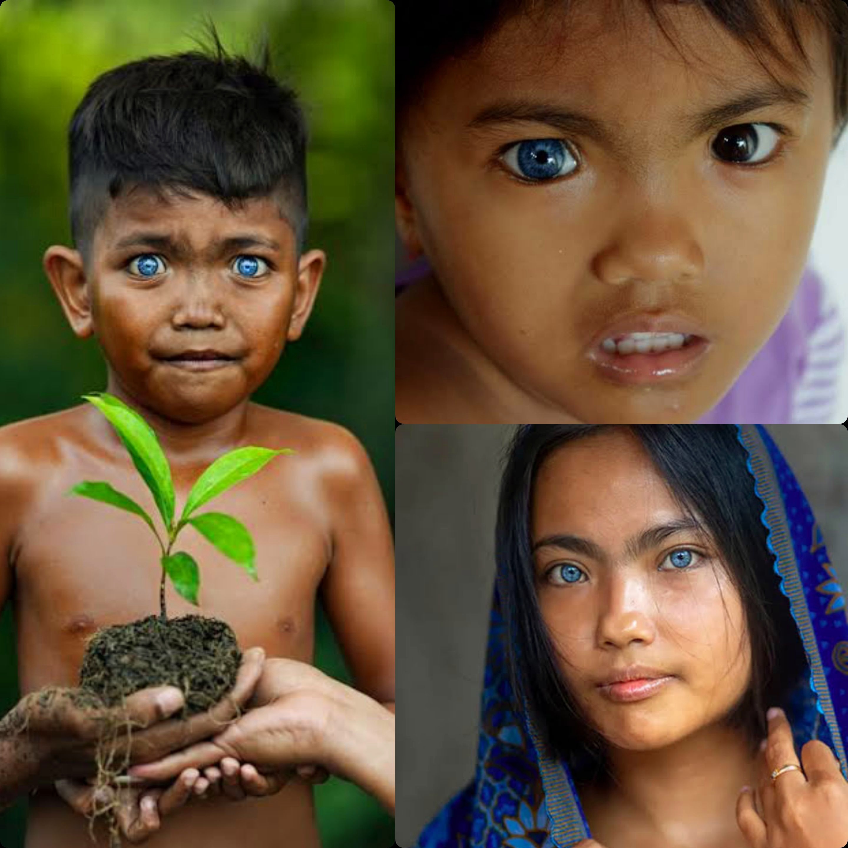 Berwarna Biru. Bola Mata yang Indah 3 Suku Asli Indonesia Bak Orang Bule