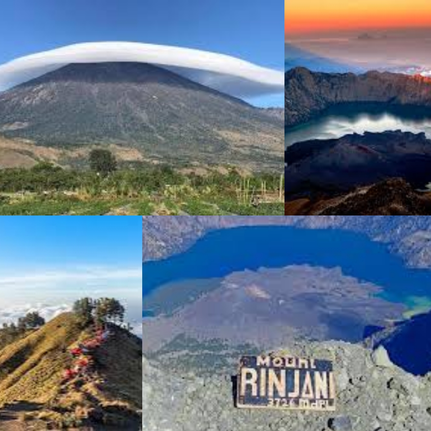 Gunung Rinjani : Surga Tersemnuyi Dengan Menyimpan Kekayaan Bioligis yang Luar Biasa!