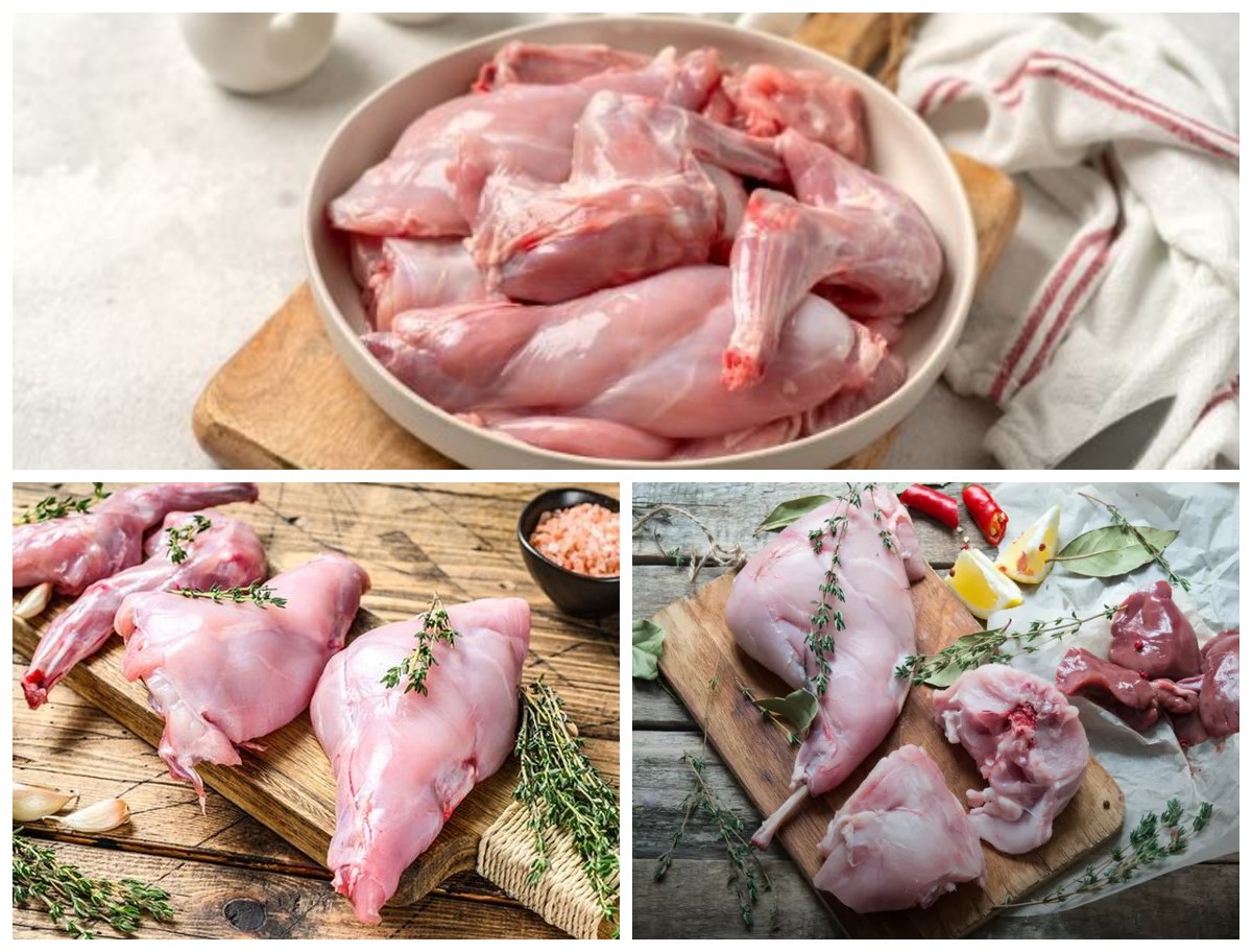 Manfaat Daging Kelinci bagi Kesehatan: Sumber Protein Rendah Lemak yang Kaya Nutrisi!