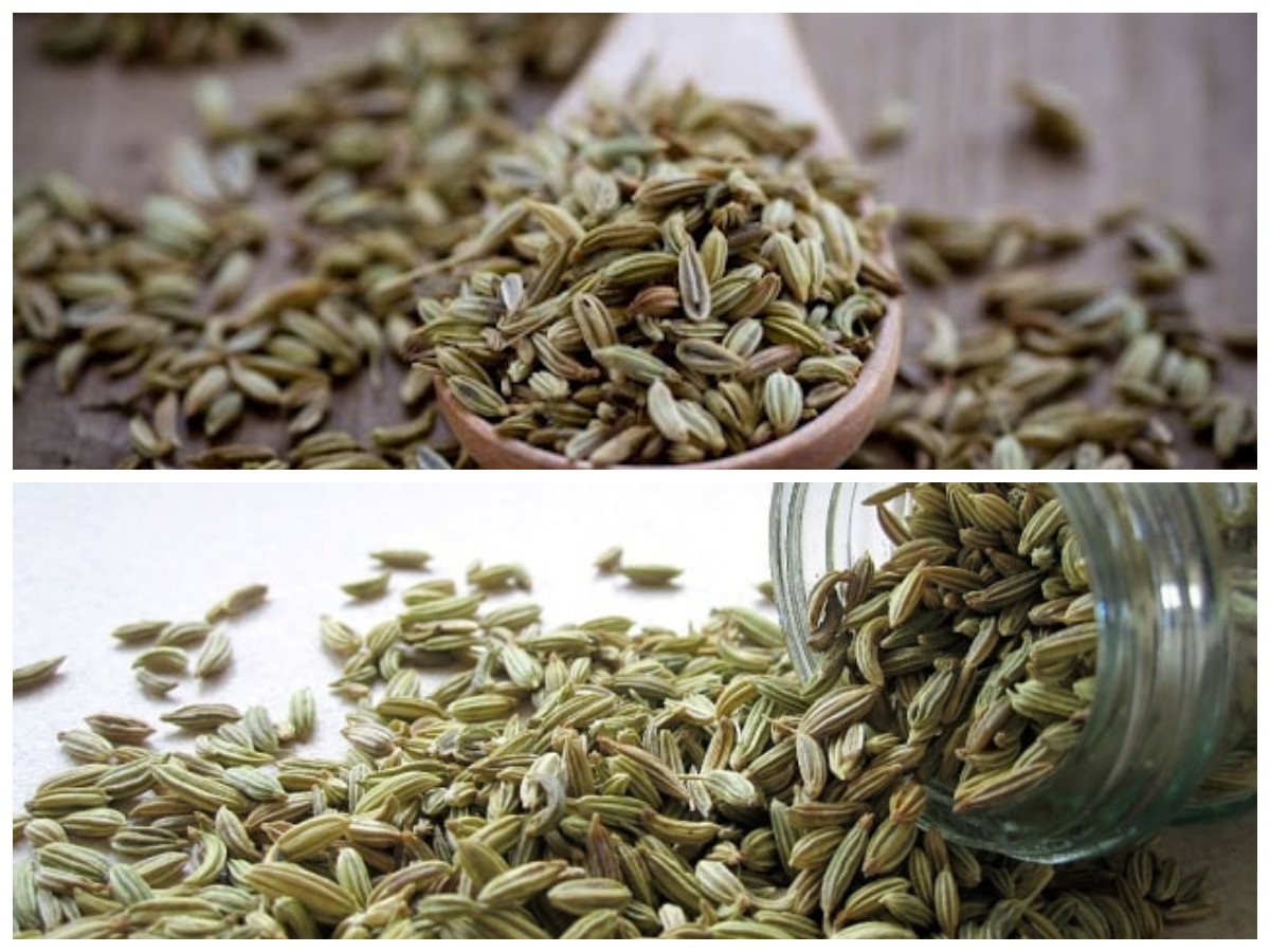 Tak Disangka! Ini 10 Khasiat Biji Adas yang Jarang Diketahui Banyak Orang