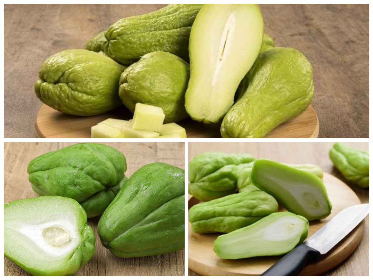 Manfaat Labu Siam bagi Kesehatan Tubuh: Kandungan Gizi, Khasiat, dan Cara Mengolahnya!