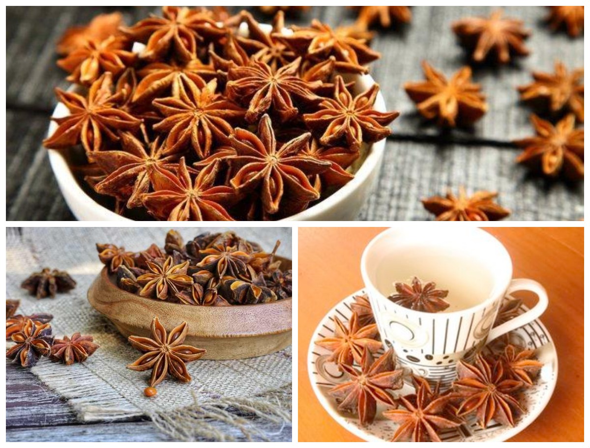 Manfaat Bunga Lawang bagi Kesehatan: Rempah Bintang dengan Segudang Khasiat Alami untuk Tubuh!