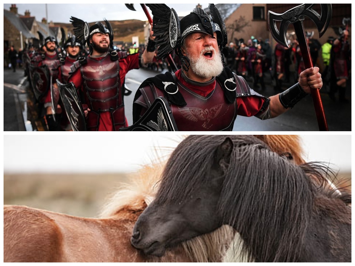 Punya Hubungan Sangat Kental, Mengenal Kisah Antara Kuda dan Manusia Pada Era Bangsa Viking