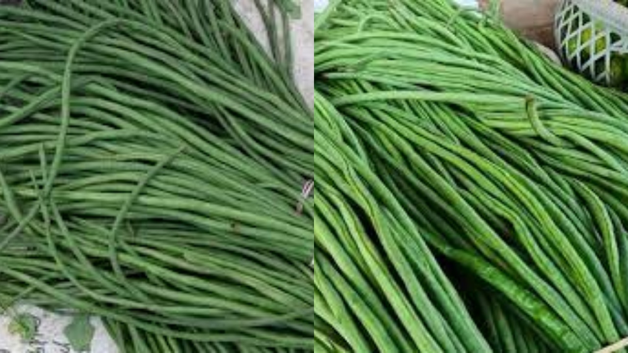 Makan Kacang Panjang Setiap Hari? Ini Manfaatnya Bagi Kesehatan Tubuh Yang Luar BIasa